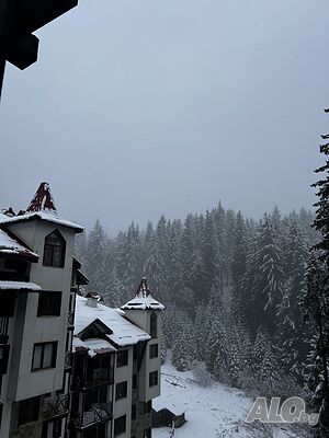 image_11