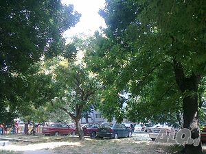 image_13