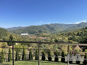 image_19