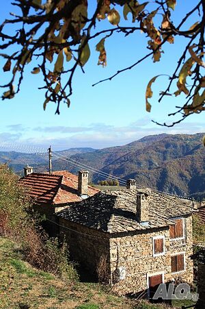 image_14
