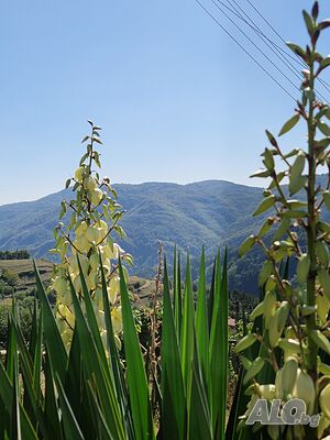 image_15