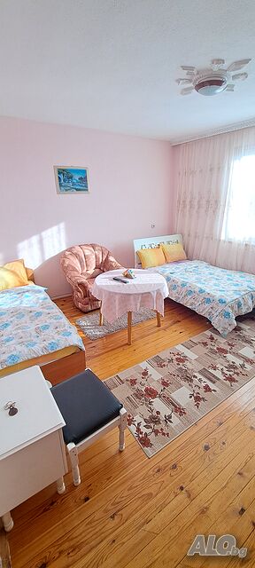 Легло в стая Стаи Наем Сандански