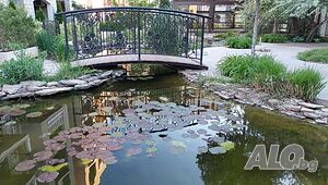 image_12