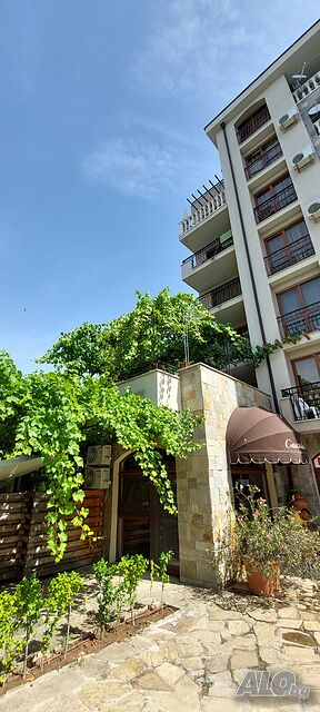 image_42