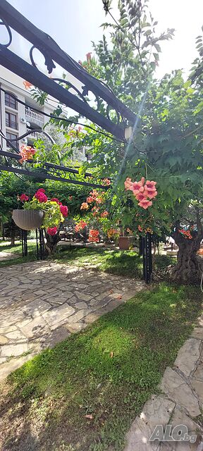 image_43