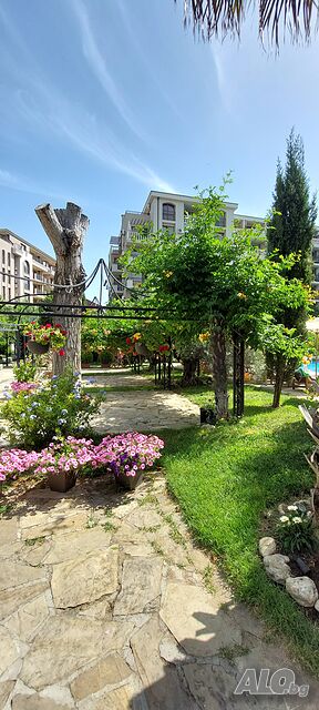 image_44