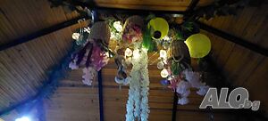 image_46