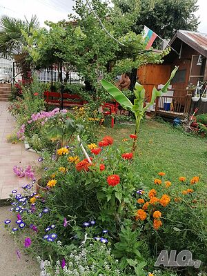 image_13