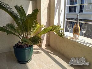 image_31