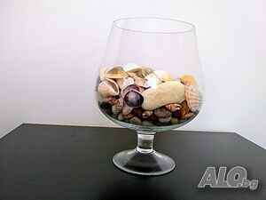 image_41