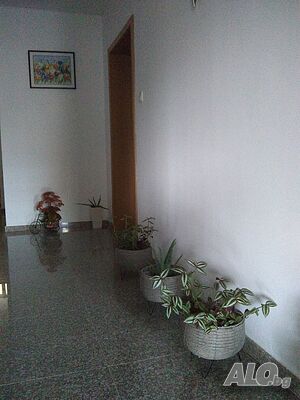 image_51
