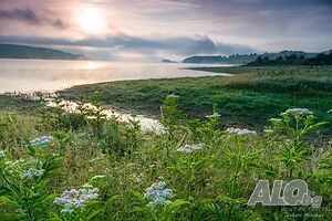 image_49