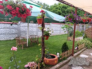 image_10