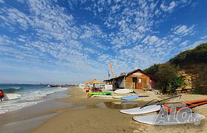 image_10