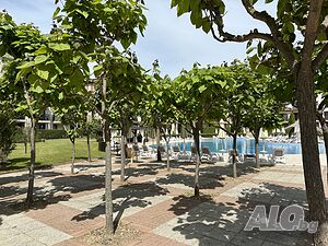 image_21
