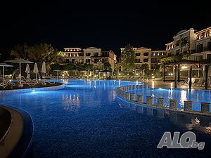 image_19