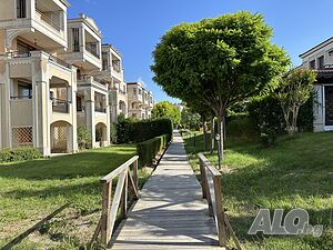 image_22