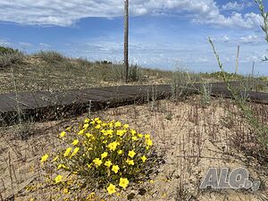 image_24