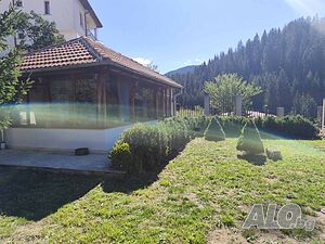 image_3