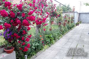 image_14
