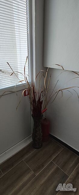 image_48