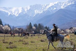 image_13