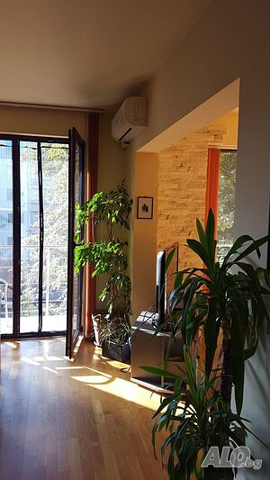 image_10