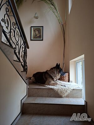 image_8