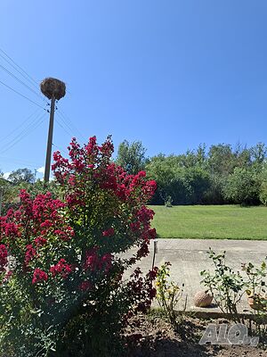 image_13