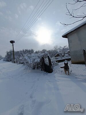 image_17