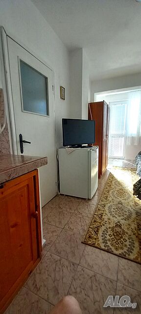 Стая под наем Приморско стаи под наем