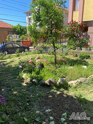 image_15