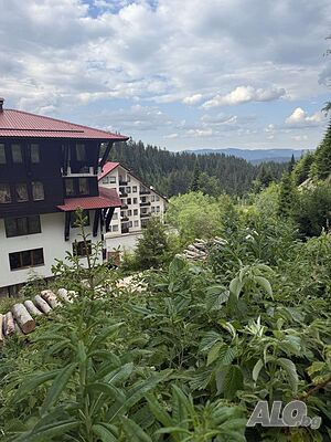 image_2