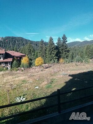 image_15