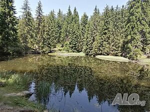 image_16