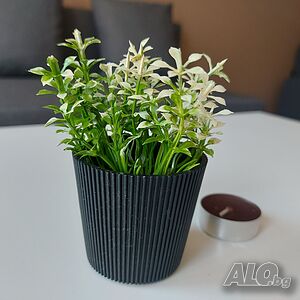 image_12