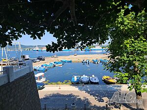 image_5