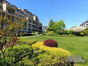 image_12