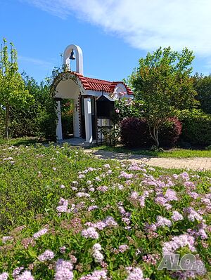 image_14