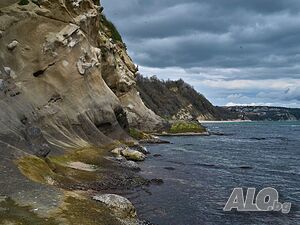 image_28