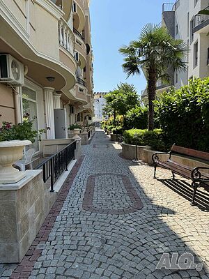 image_17