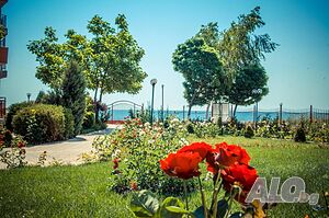 image_27