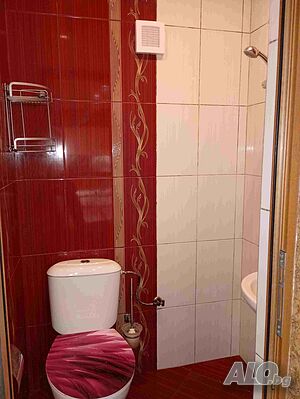 image_19