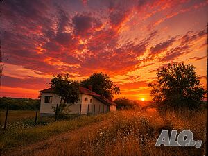 image_15
