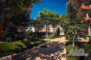 image_8