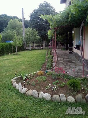 image_7