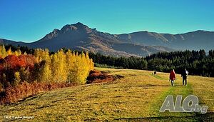 image_24