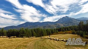 image_27