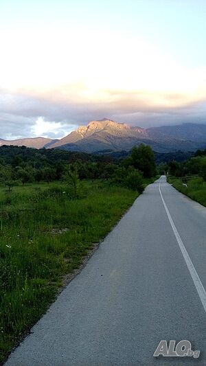 image_29