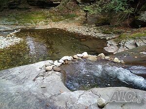 image_33